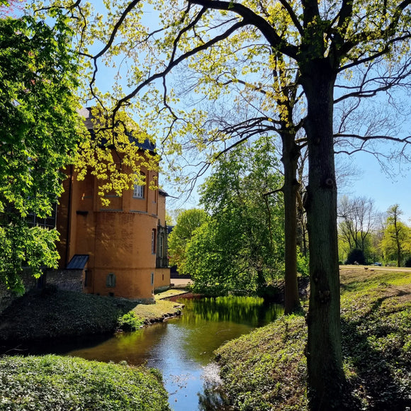 Höhlen, Pfauen und ein Wassergespenst, das Bücher liebt - entdeckt auf Schloss Rheydt